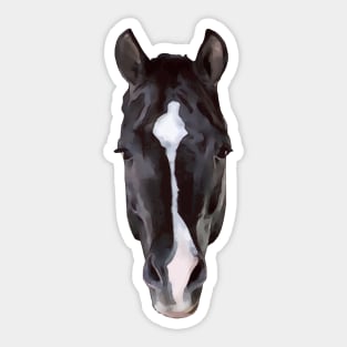 Valegro Face Marking Sticker